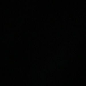 Meet your Posher, Teddy